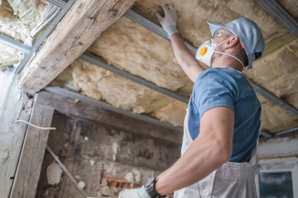 Best Cellulose Insulation in Elkins, AR