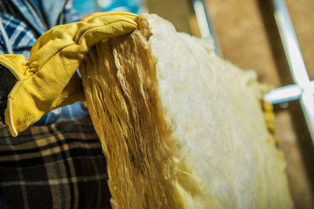 Best DIY Insulation Kits and Guidance in Elkins, AR