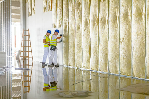 Best Geographic-Specific Insulation Services in Elkins, AR